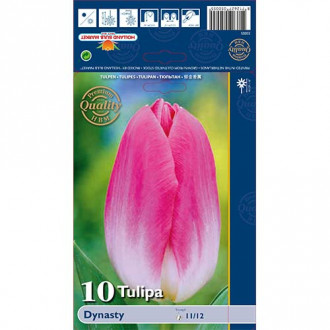 Tulipan Triumph Dynasty interface.image 17