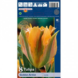 Tulipan Viridiflora Golden Artist interface.image 9