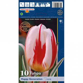 Tulipan Triumph Happy Generation interface.image 10