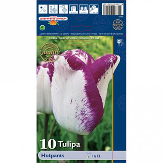Tulipan Triumph Hotpants interface.image 9