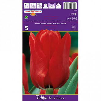 Tulipan Ile de France interface.image 11