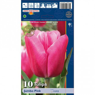 Tulipan Jumbo Pink interface.image 13