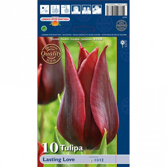 Tulipan liliokształtny Lasting Love interface.image 16