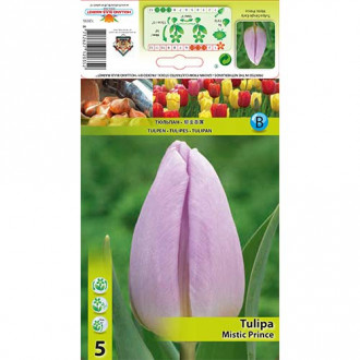 Tulipan Triumph Mistic Prince interface.image 7