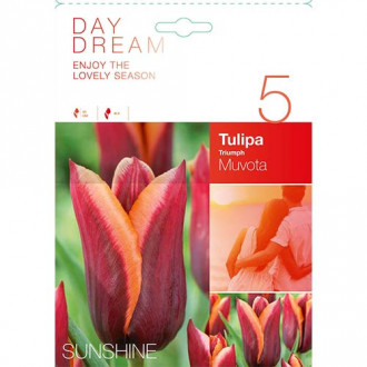 Tulipan Triumph Muvota interface.image 1