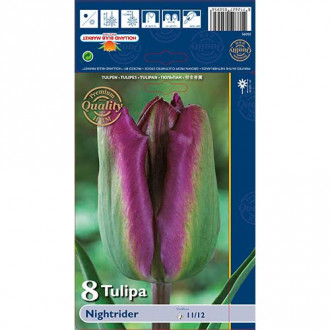 Tulipan Viridiflora Night Rider interface.image 8