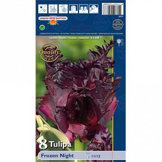 Tulipan papuzi Frozen Night interface.image 14