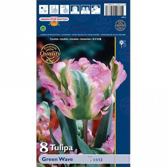 Tulipan papuzi Green Wave interface.image 13