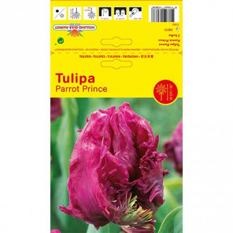 Tulipan papuzi Parrot Prince interface.image 15