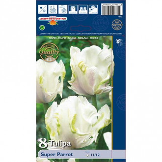 Tulipan papuzi Super Parrot interface.image 9