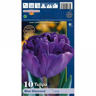 Tulipan pełny Blue Diamond interface.image 8
