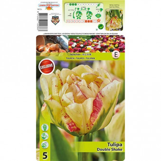 Tulipan pełny Double Shake interface.image 1