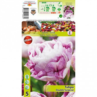 Tulipan pełny Double Surprise interface.image 17