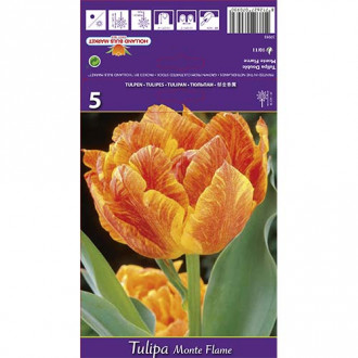 Tulipan pełny Monte Flame interface.image 9