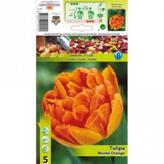 Tulipan pełny Monte Orange interface.image 7