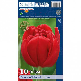 Tulipan pełny Prince of Marvel interface.image 12