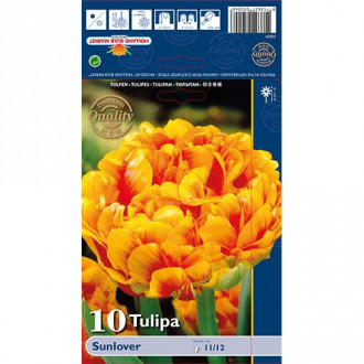Tulipan pełny Sunlover interface.image 8
