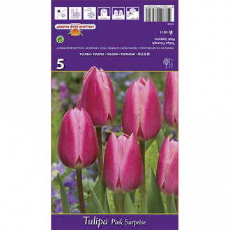 Tulipan Triumph Pink Surprise interface.image 16
