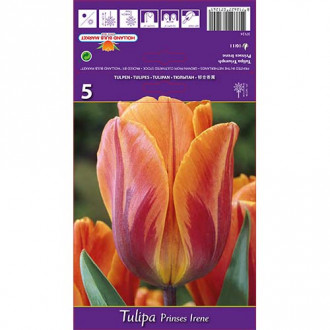 Tulipan Prinses Irene interface.image 4