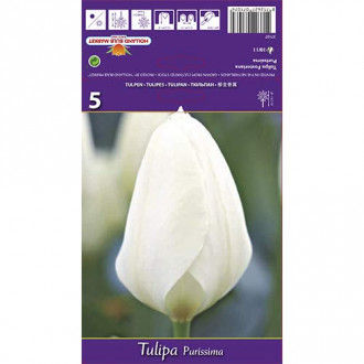 Tulipan Purissima interface.image 3