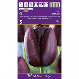 Tulipan Queen of Night interface.image 11