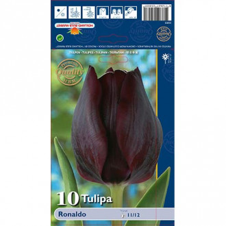 Tulipan Triumph Ronaldo interface.image 8