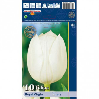 Tulipan Triumph Royal Virgin interface.image 5