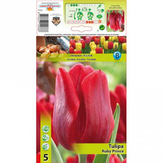 Tulipan Ruby Prince interface.image 2