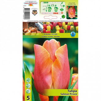 Tulipan Salmon Prince interface.image 15