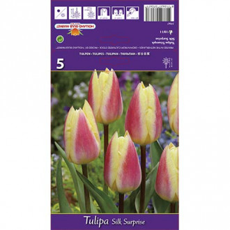 Tulipan Triumph Silk Surprise interface.image 17