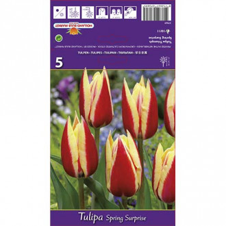 Tulipan Triumph Spring Surprise interface.image 8