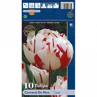 Tulipan pełny Carnaval de Nice interface.image 5