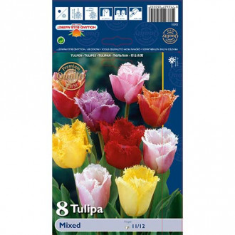 Tulipan strzępiasty Fringed, mix kolorów interface.image 8