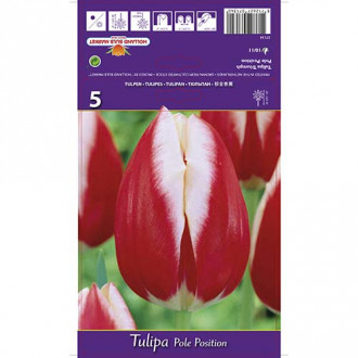 Tulipan Triumph Pole Position interface.image 7