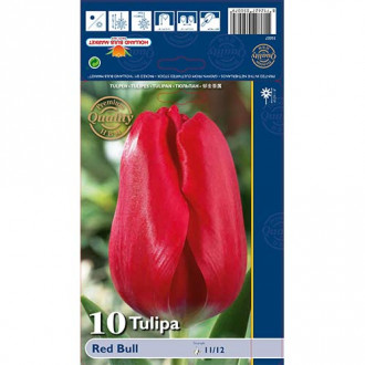 Tulipan Triumph Red Bull interface.image 18