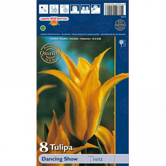 Tulipan Viridiflora Dancing Show interface.image 7