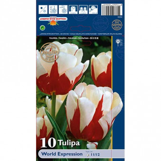 Tulipan World Expression interface.image 12