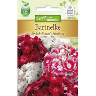 Турски едноцветен карамфил, смес изображение 5