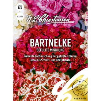 Турски карамфил, смес изображение 16