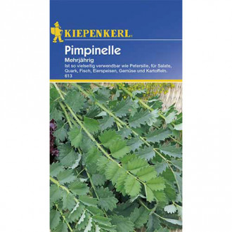 Urzică parfumată perenă Kiepenkerl imagine 8