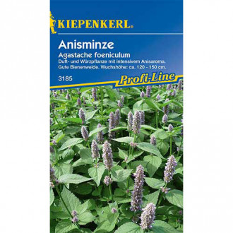 Urzică parfumată Kiepenkerl imagine 7