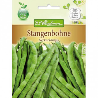 Увивен боб Neckarkonigin изображение 6