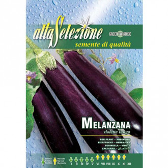 Vânătă Violetta Lunga imagine 11