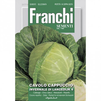 Varză albă Invernale di Langedijk 4 imagine 4