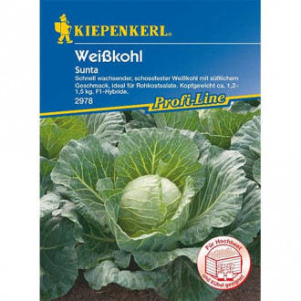 Varză albă Sunta F1 imagine 14