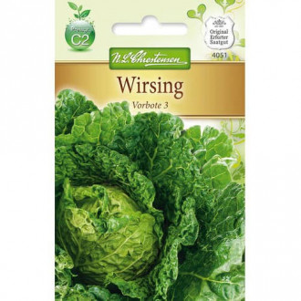 Varză creață Vorbote 3 imagine 2