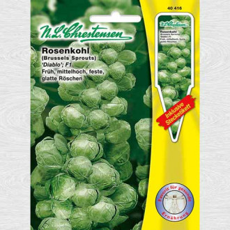 Varză de Bruxelles Diablo F1 imagine 8