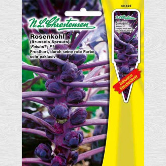 Varză de Bruxelles Falstaff imagine 16