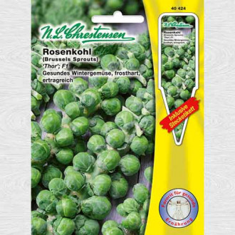 Varză de Bruxelles Thor F1 imagine 14