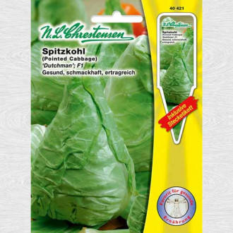 Varză Dutchman F1 imagine 15